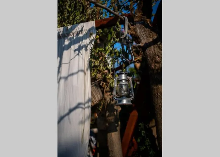 Etno With A Pool - Matusanovi Dvori Rab فيلة Banjol